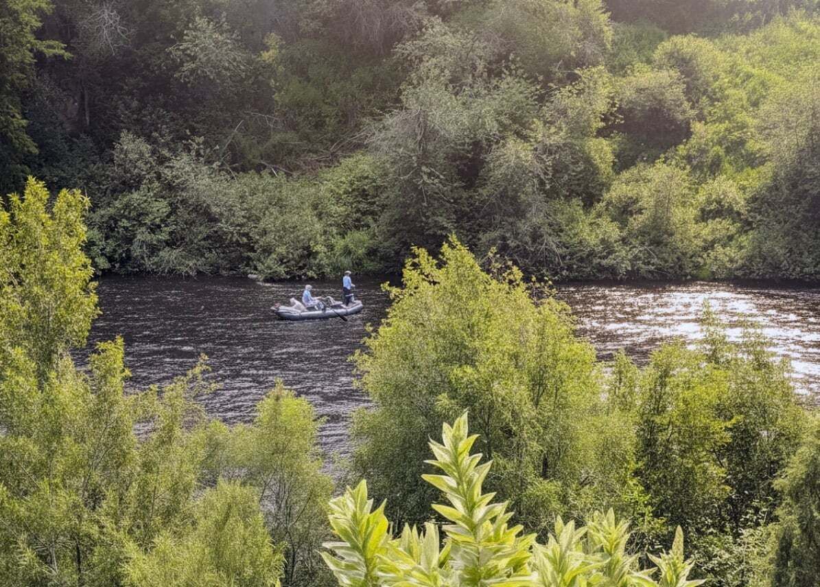 A river with a boat, surrounded by dense greenery.