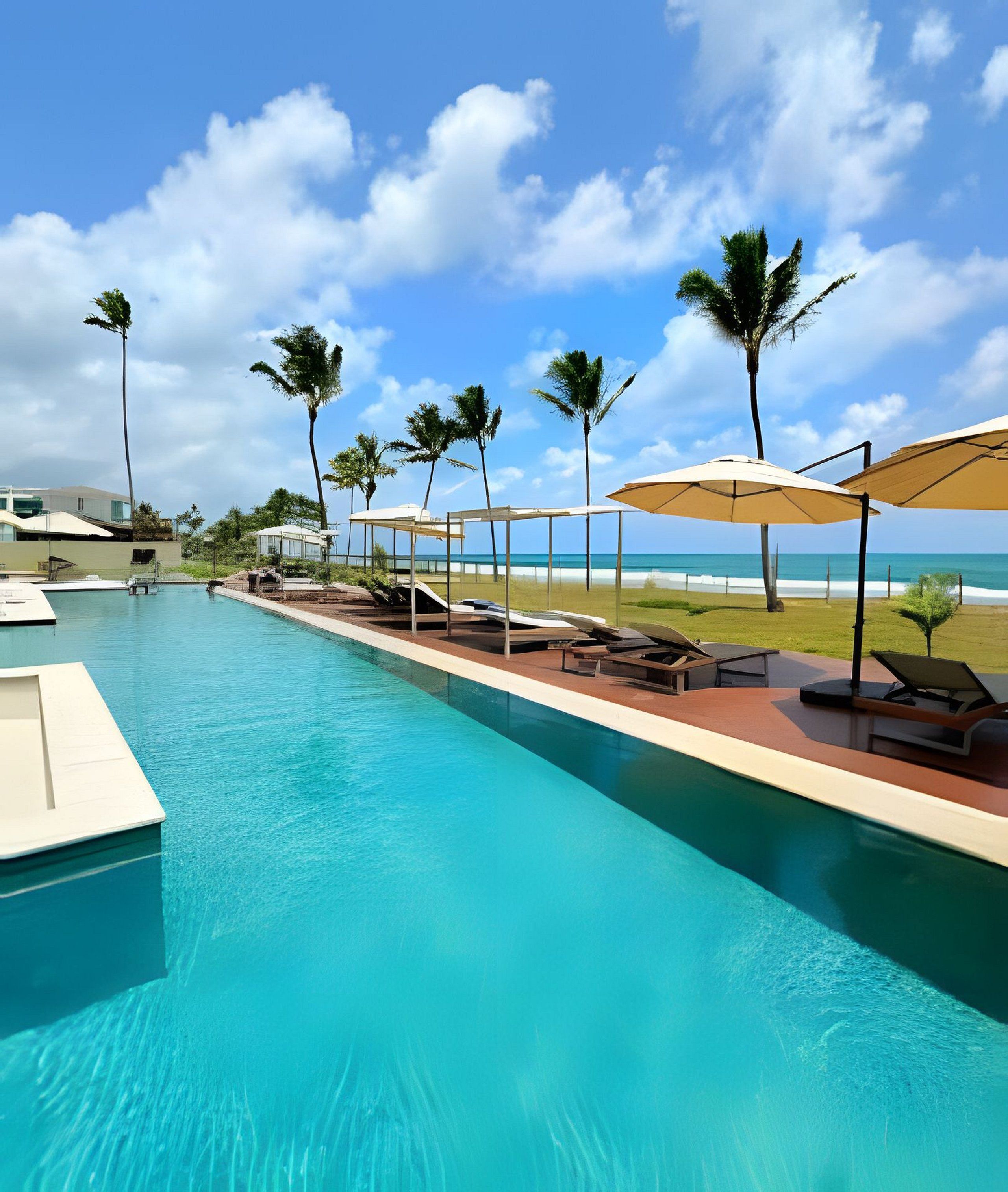 A swimming pool with lounge chairs and umbrellas, surrounded by palm trees and a view of the beach.