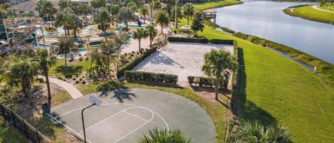 Una cancha de baloncesto rodeada de palmeras y un lago.