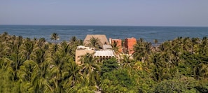 A coastal hotel with a view of the sea, surrounded by palm trees. - Villa Romeo | Jungle & Caribbean • Rooftop Pool (Tulum)