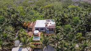 Un complexe hôtelier doté d’une piscine, de nombreuses chambres et d’un grand jardin bordé de palmiers.
