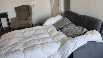 Apartment, 1 Bedroom, Accessible, Smoking