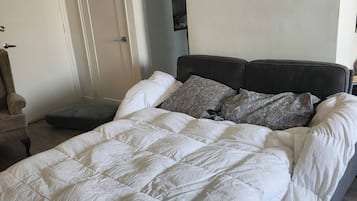 Apartment, 1 Bedroom, Accessible, Smoking