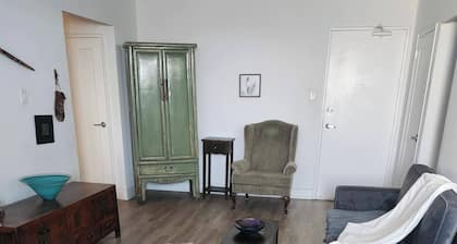 1 bd Apartment Sleeps 4- 20 Mins From Everything!