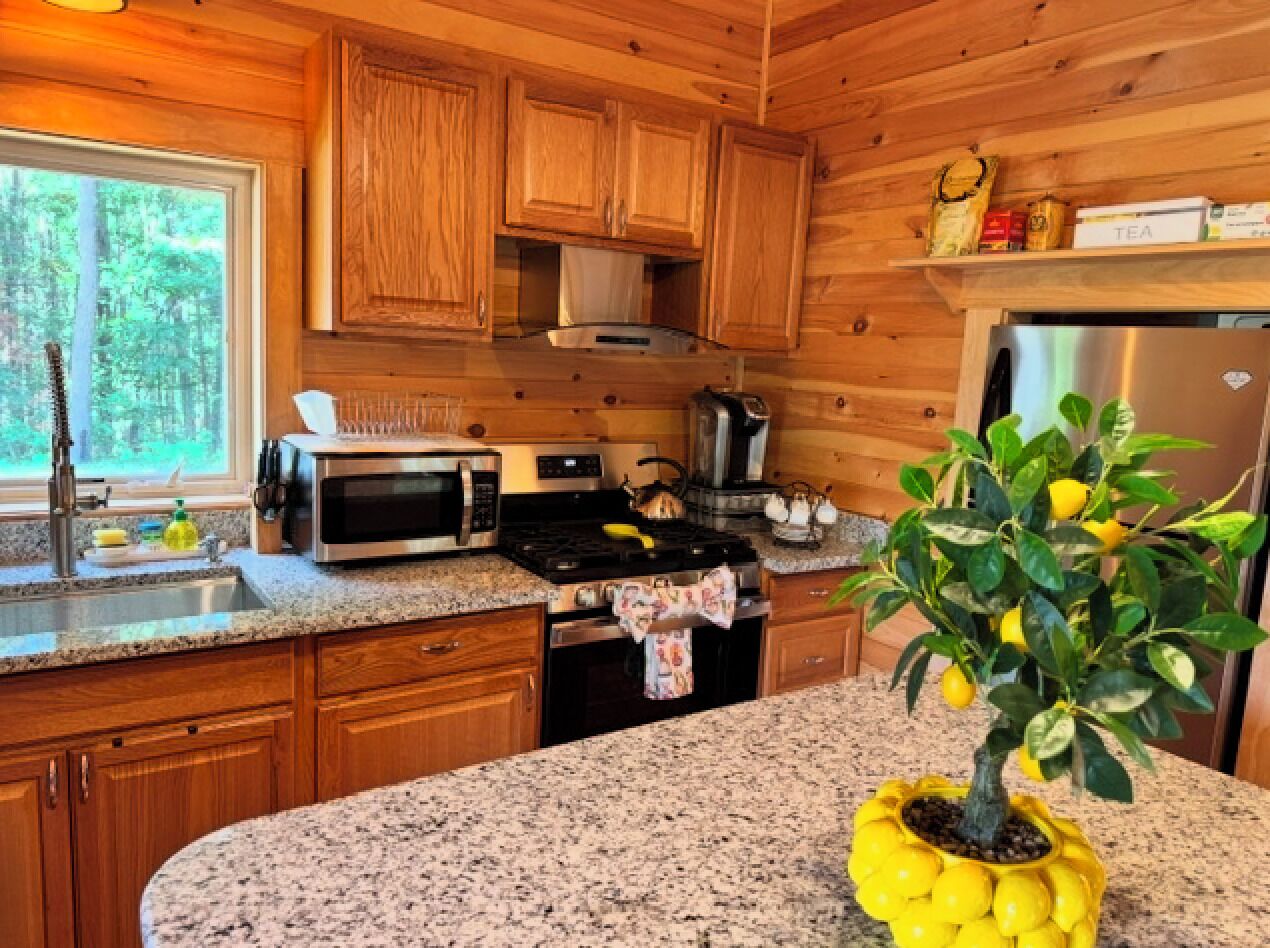 A kitchen with wooden cabinets, a granite countertop, stainless steel appliances, and a potted lemon tree.