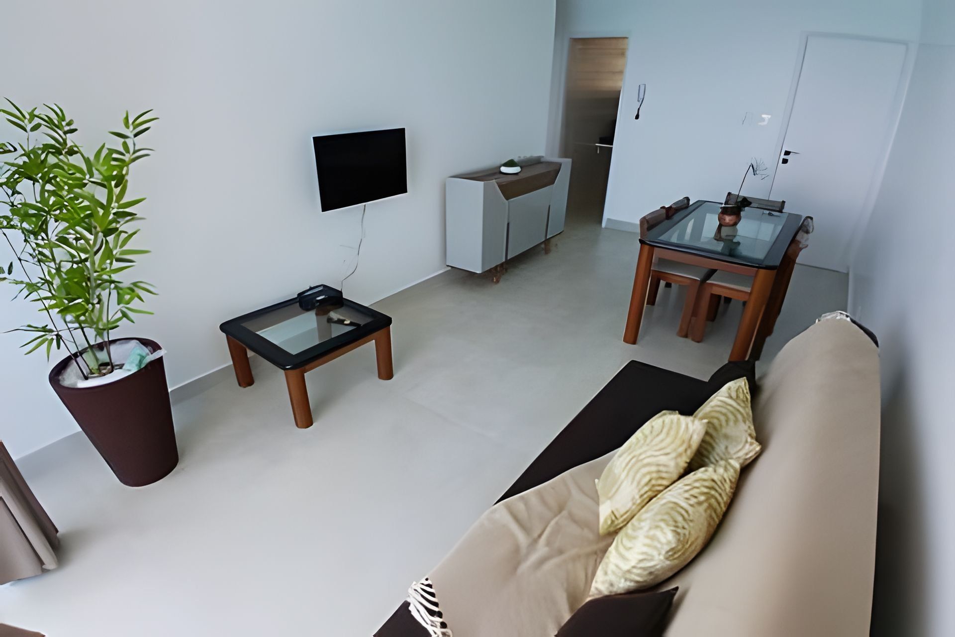 A modern living room with a sofa, a coffee table, a TV, a dining table with chairs, and a potted plant.