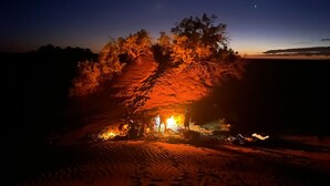 A nighttime scene with a campfire, trees, and a clear sky. - Authentic Sahara Desert Camp in Mhamid - Peaceful andUnforgettables Stay (Mhamid)