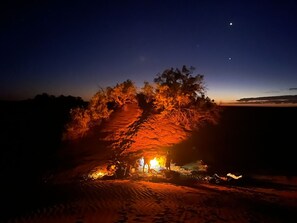 A nighttime scene with a campfire, trees, and a clear sky. - Authentic Sahara Desert Camp in Mhamid - Peaceful andUnforgettables Stay (Mhamid)