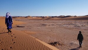 A desert landscape with sand dunes and a clear sky. - Authentic Sahara Desert Camp in Mhamid - Peaceful andUnforgettables Stay (Mhamid)