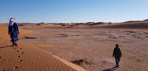 A desert landscape with sand dunes and a clear sky. - Authentic Sahara Desert Camp in Mhamid - Peaceful andUnforgettables Stay (Mhamid)