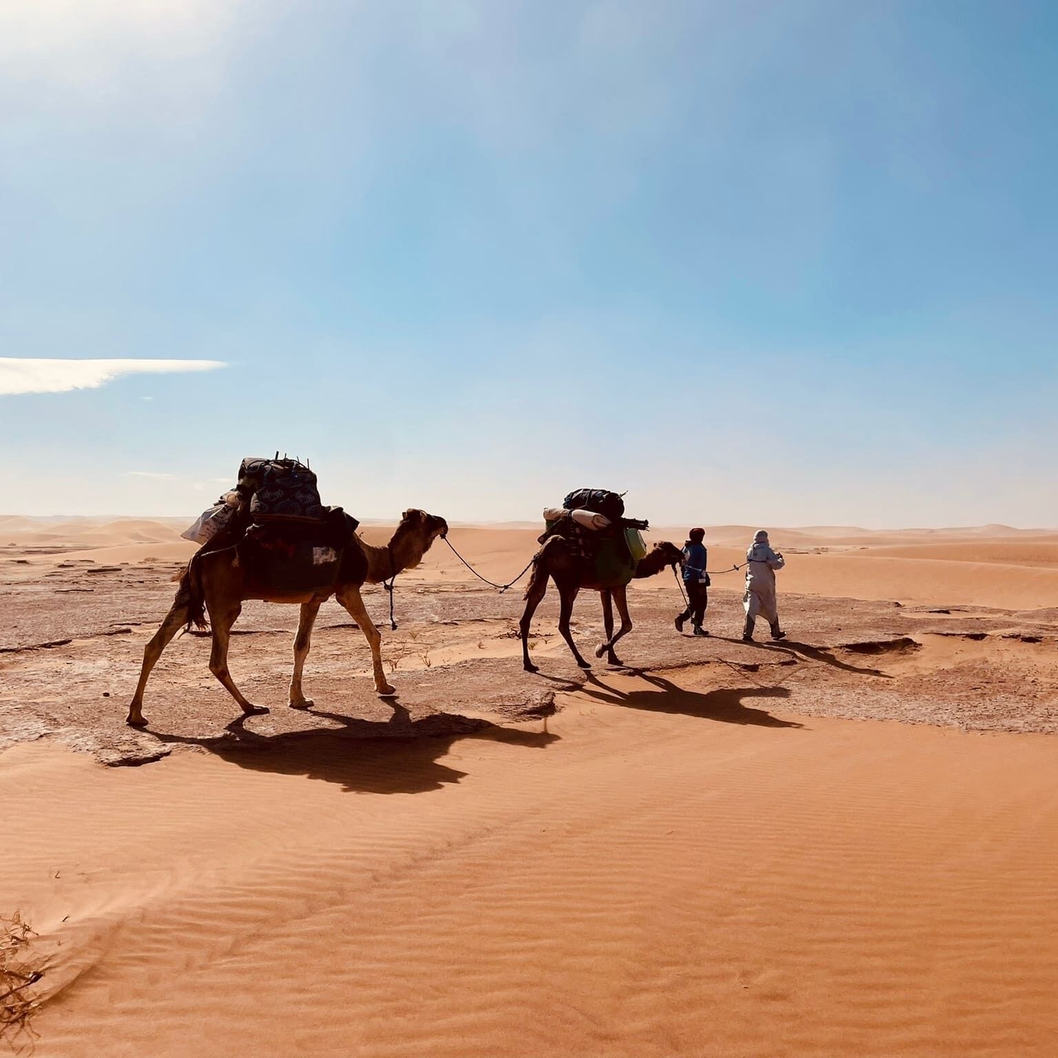 Paisaje desértico con dos camellos y una persona vestida de blanco.