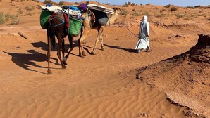 A desert landscape with two camels and a person leading them. - Authentic Sahara Desert Camp in Mhamid - Peaceful andUnforgettables Stay (Mhamid)