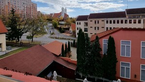 A view from a window overlooking a residential area with buildings, trees, and a road.