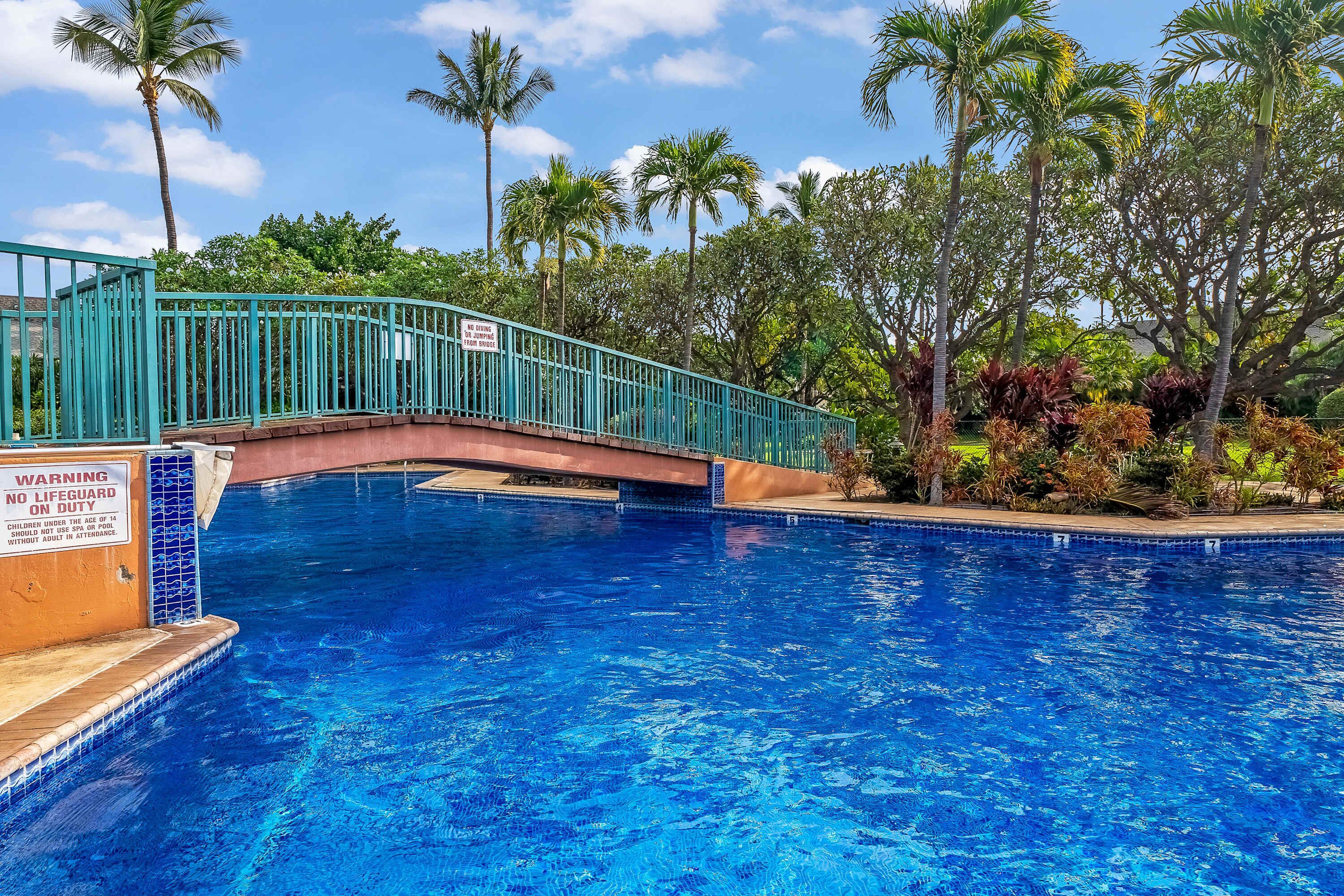 Una piscina con un puente, rodeada de palmeras y un cartel que indica ausencia de socorrista.