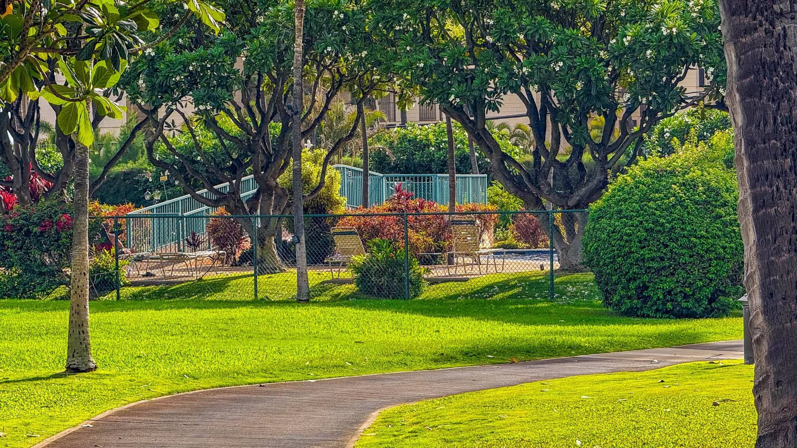 Ein Park mit einem gepflasterten Weg, grünem Gras und verschiedenen Bäumen.