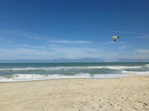 Praia