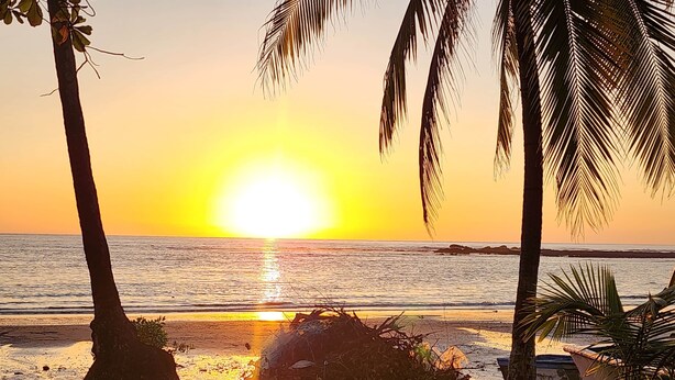 Ein Sonnenuntergang über einem Strand mit Palmen und einem klaren Himmel.