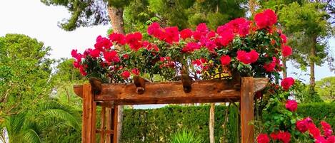 A wooden arbor with red flowers, surrounded by various plants and a gravel path.