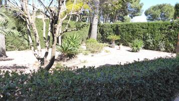 Een tuin met diverse planten en bomen, een haag, en een heldere lucht.