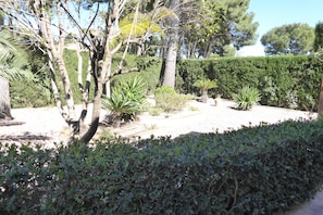 Un jardín con diversas plantas y árboles, un seto y un cielo despejado.