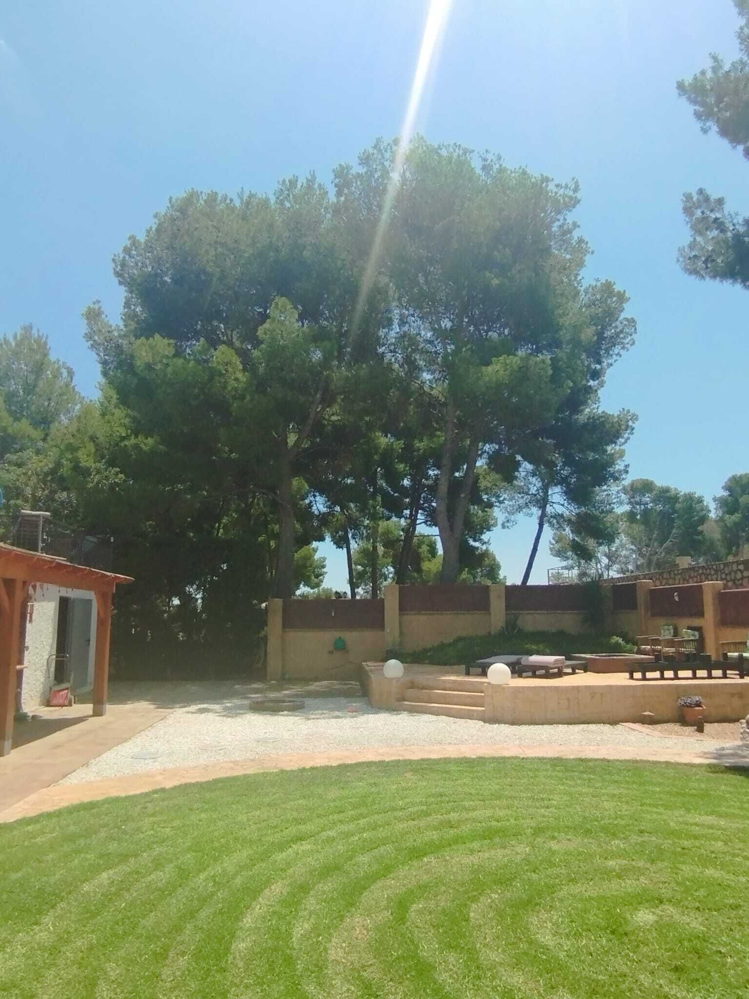 A well-maintained outdoor area with a lawn, a patio with seating, and a large tree providing shade.