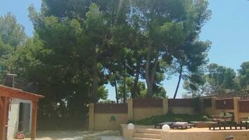 A well-maintained outdoor area with a lawn, a patio with seating, and a large tree providing shade.
