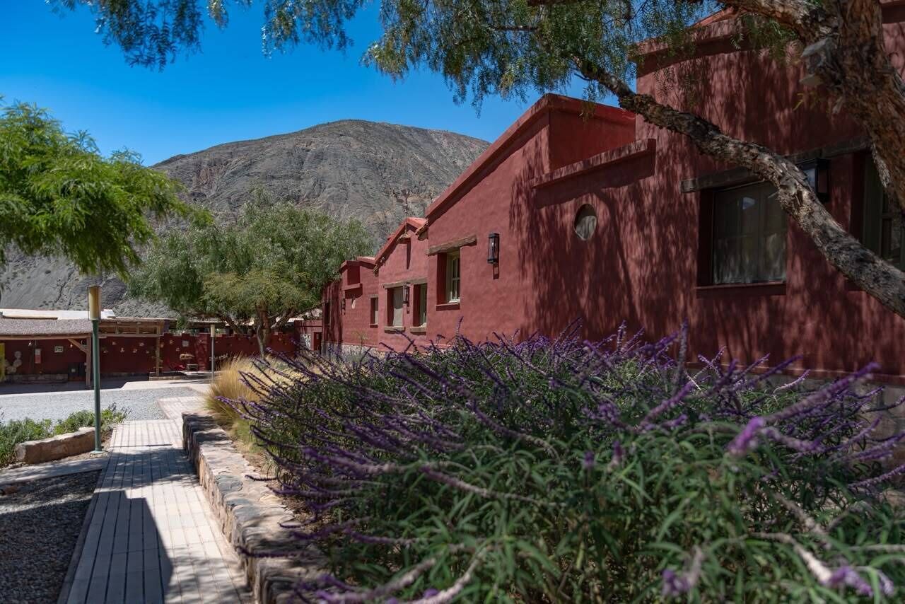 A red building with a wooden deck and lavender plants.