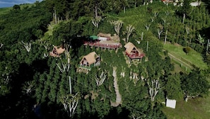 A cluster of treehouses with wooden structures and red railings, surrounded by dense greenery and a clear sky.