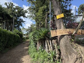 Un sentiero sterrato costeggiato da vegetazione lussureggiante e alberi, con un cartello di legno che segnala proprietà privata.