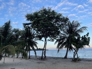 Una playa con palmeras y vistas al mar.