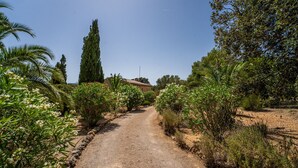 A gravel path leading through a garden with various plants and trees. - Finca with pool in Can Treupoc, Porto Cristo (Manacor (Porto Cristo))