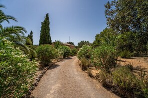 A gravel path leading through a garden with various plants and trees. - Finca with pool in Can Treupoc, Porto Cristo (Manacor (Porto Cristo))