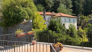 A balcony with potted plants, a stone wall, and a building with a red-tiled roof in the background. - Palazzo degli Angeli Palace of Angels (Fivizzano)
