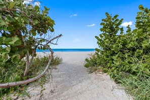 Ein sandiger Pfad am Strand, der zum Meer führt, gesäumt von üppiger, grüner Vegetation.