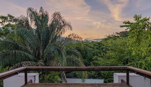 A wooden deck with a railing overlooking a lush garden with various trees and shrubs.