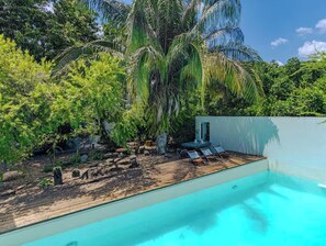 A swimming pool with lounge chairs, surrounded by lush greenery and a palm tree.