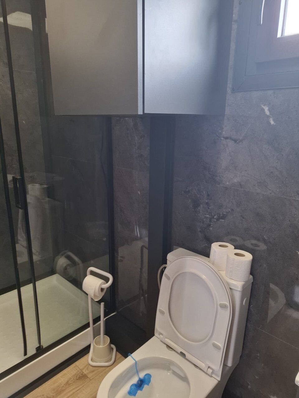 A bathroom with a toilet, a glass shower enclosure, and a dark-colored cabinet.