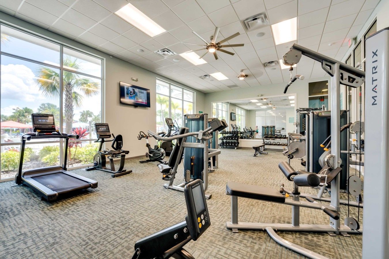 A gym with cardio machines, weightlifting equipment, and a large window offering a view of palm trees.
