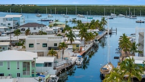 A marina with boats docked, surrounded by buildings and palm trees. - Cielo del Mar - Waterfront - Heated Pool - Dock (Marathon)