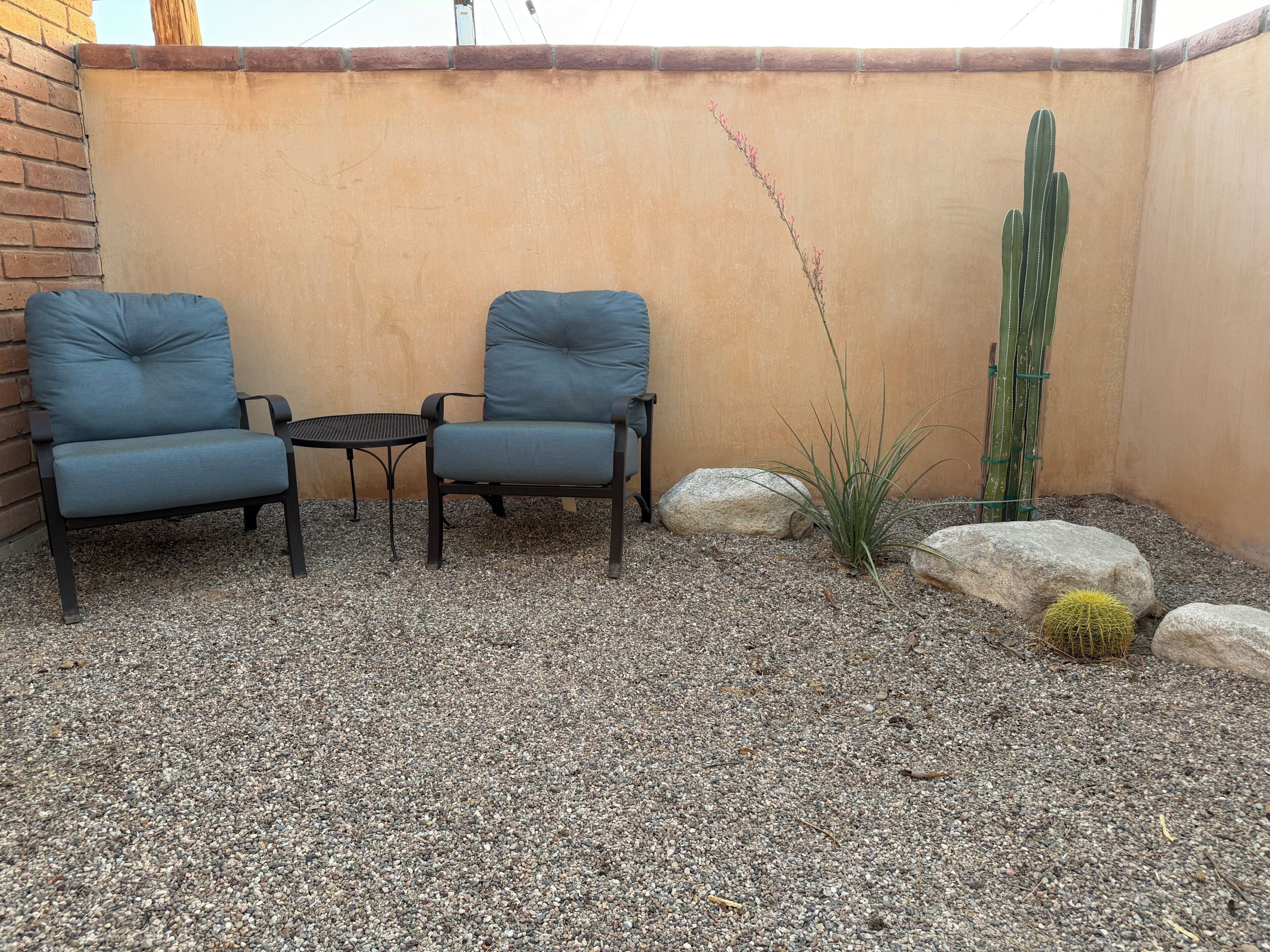 A patio area with two chairs, a small table, and a cactus plant.