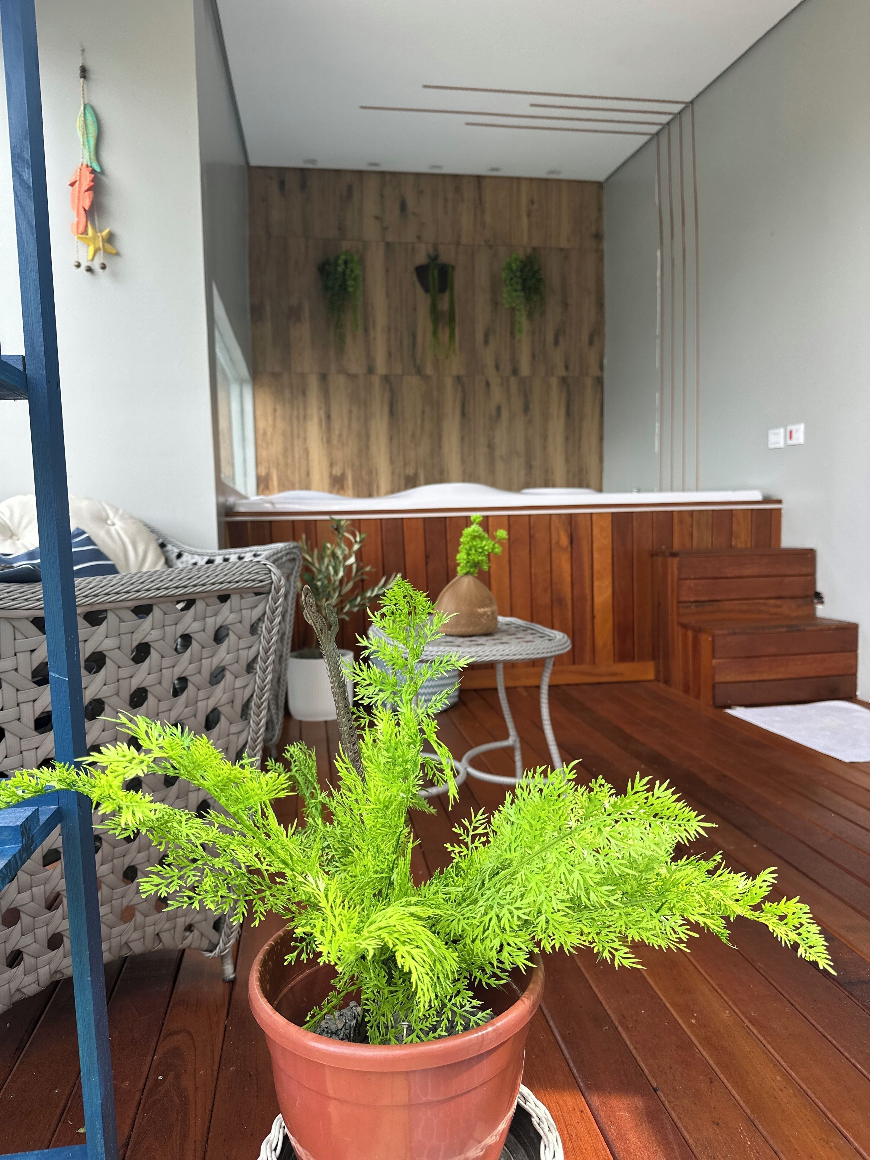 A room with a wooden floor, a potted plant, a wicker chair, and a small round table.
