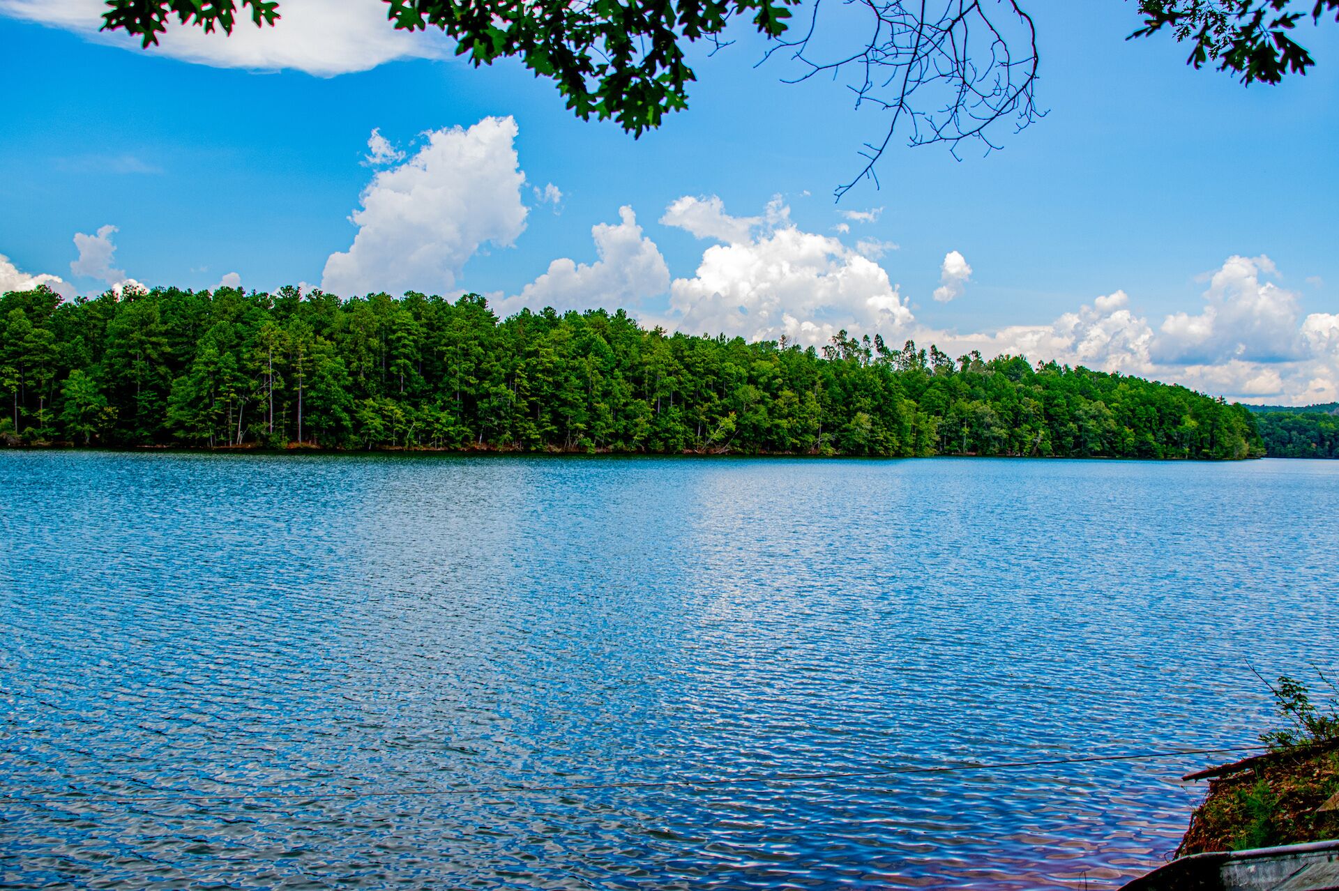 A calm lake with a dense forest on the opposite shore.