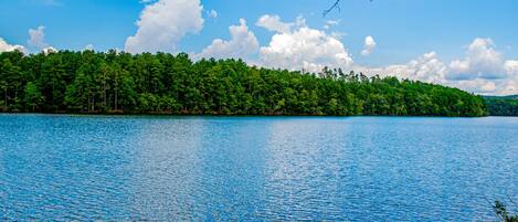 A calm lake with a dense forest on the opposite shore.
