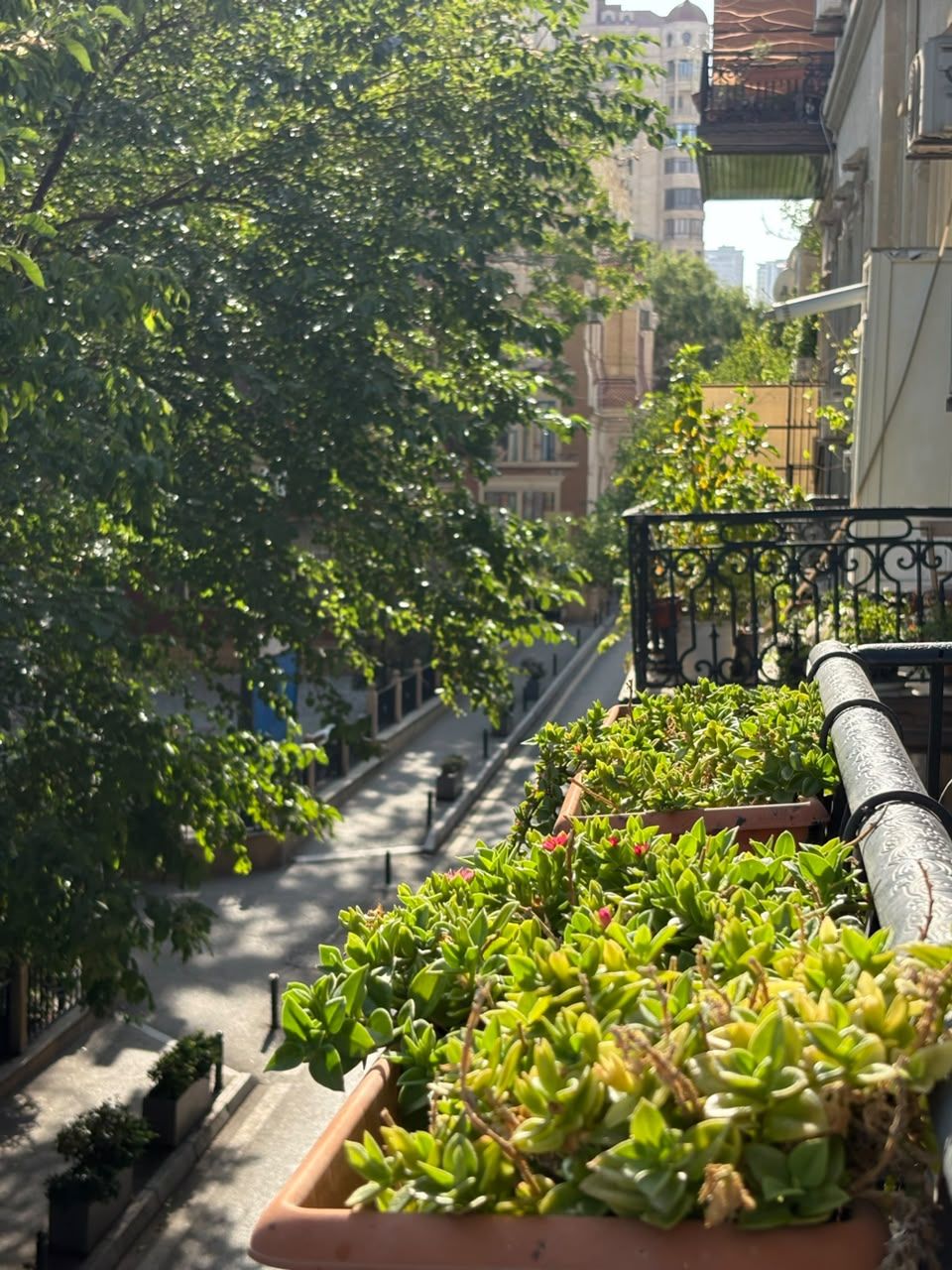 A balcony with potted plants, a metal railing, and a view of a city street with buildings.