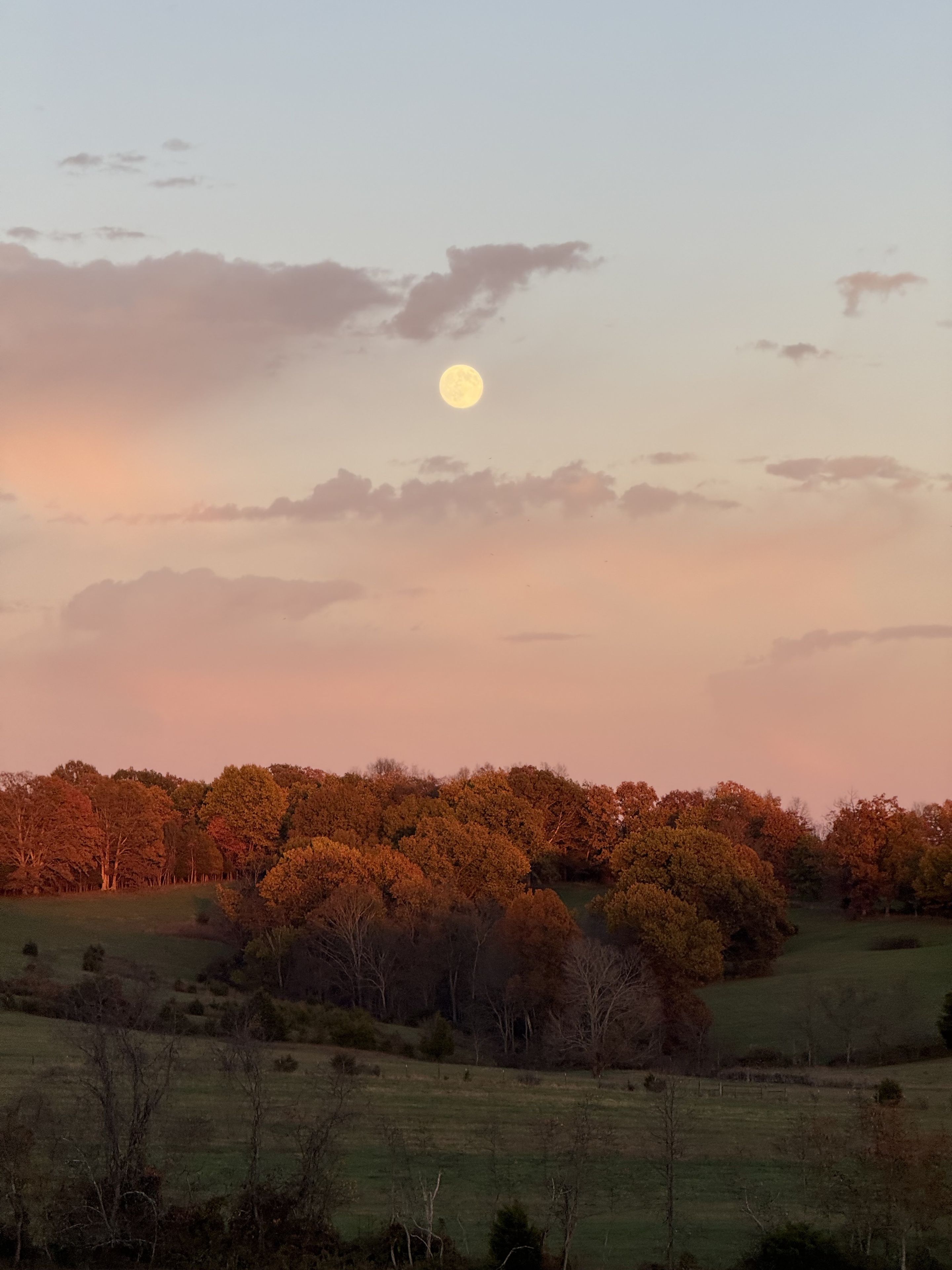 A landscape with a full moon, trees, and a grassy field.