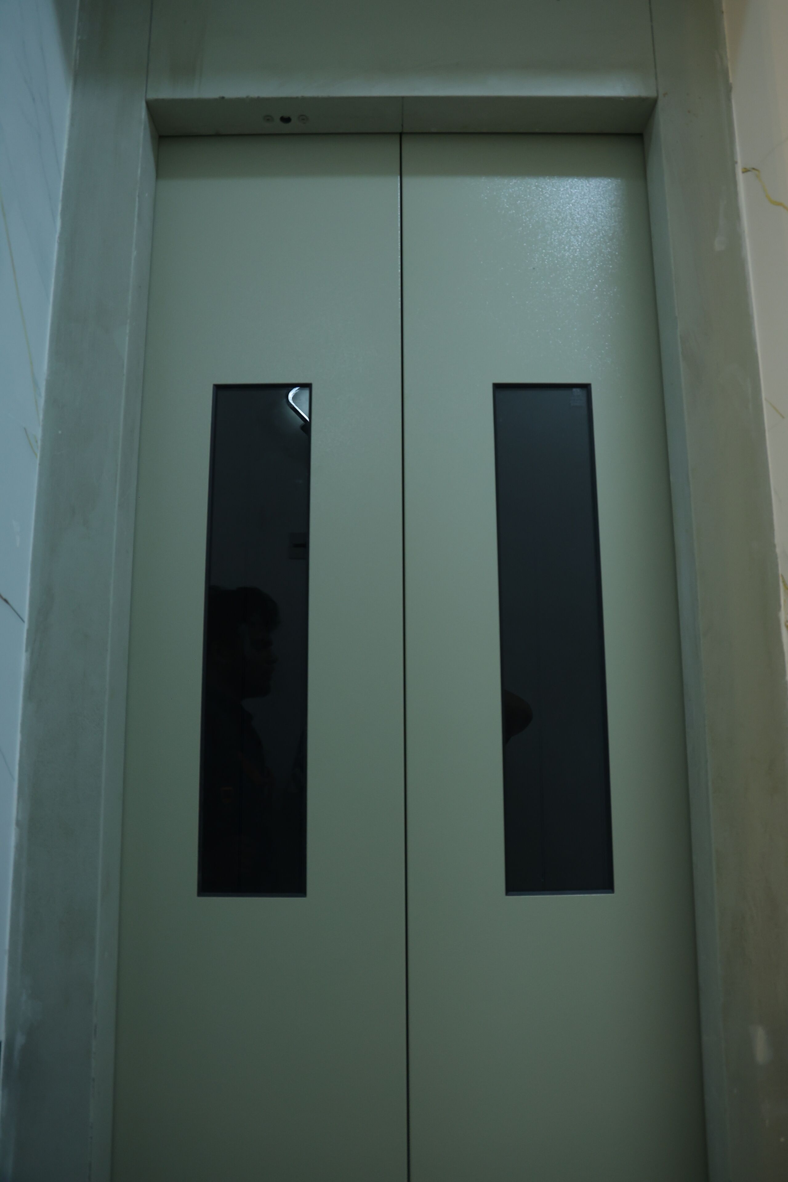 A double door with rectangular windows, likely an elevator or service door.