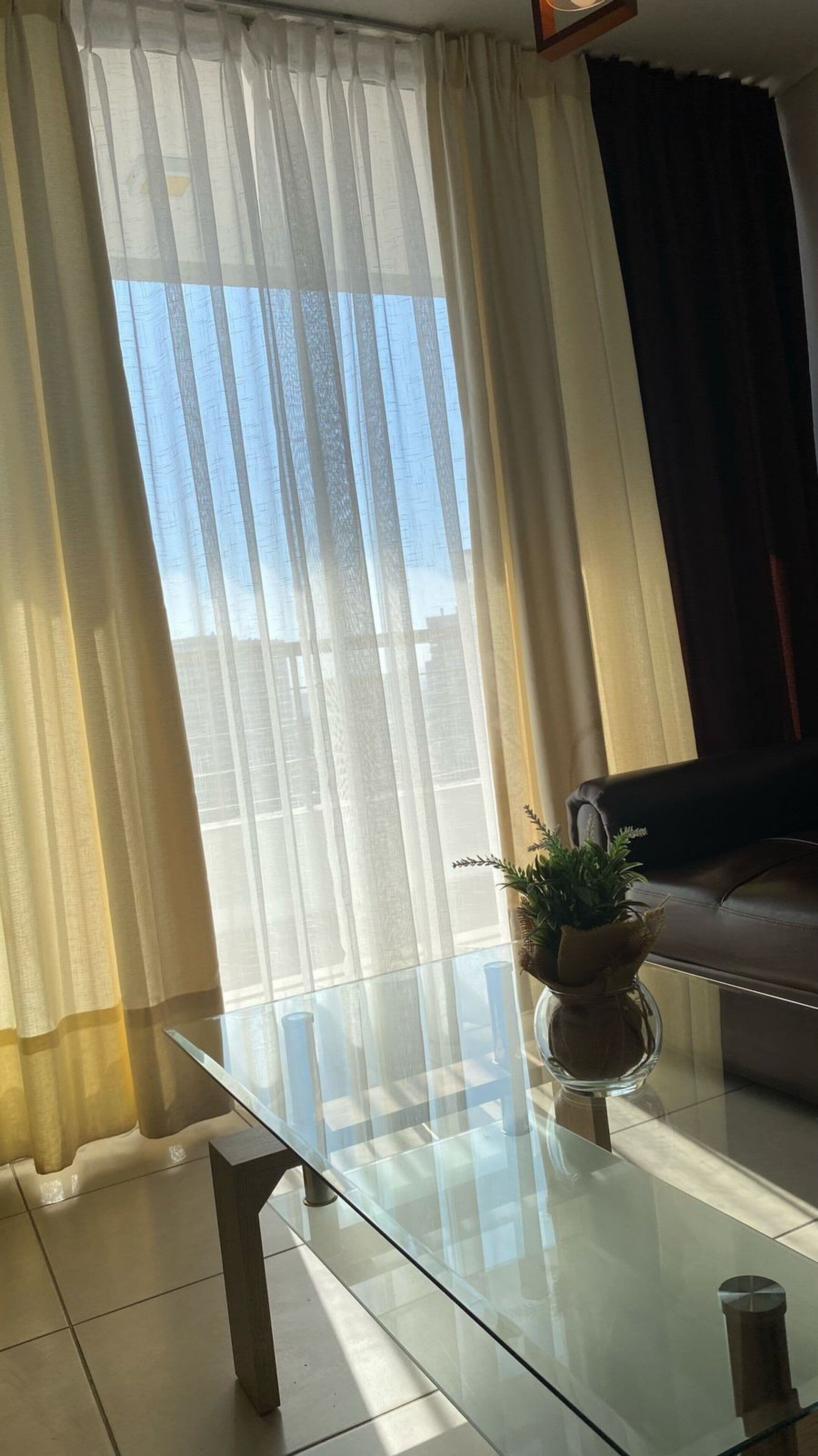 Una habitación con una mesa de vidrio, una planta en maceta y un sofá.