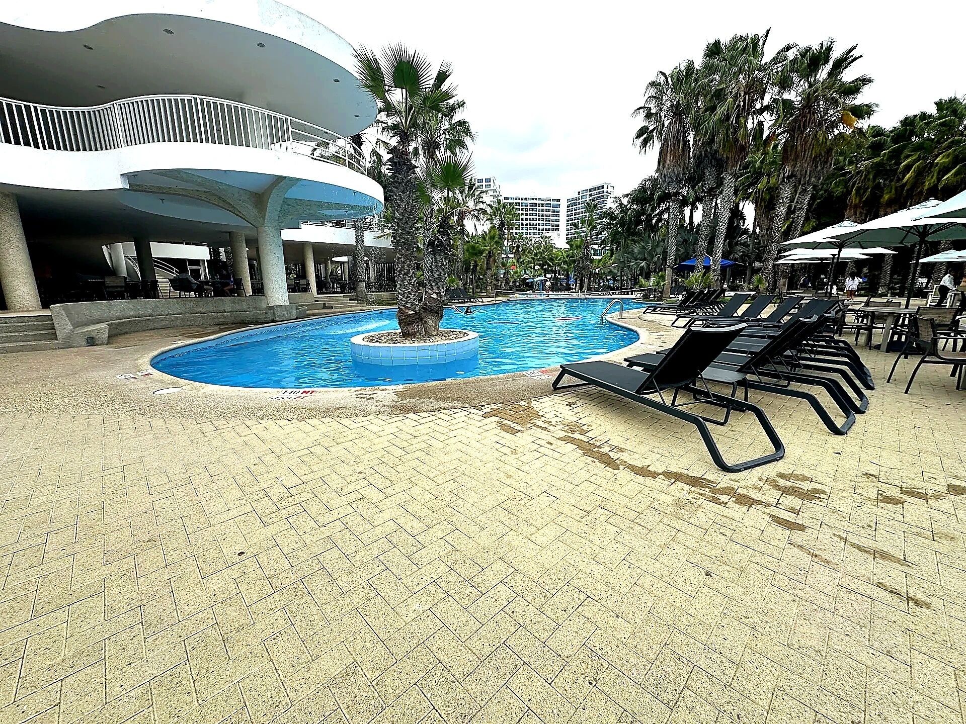 A pool area with lounge chairs and palm trees.