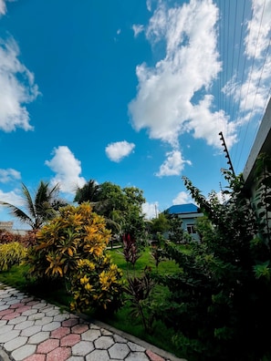 A garden with a variety of plants and a clear blue sky. - Palm Residence retreat in Paje (Paje)
