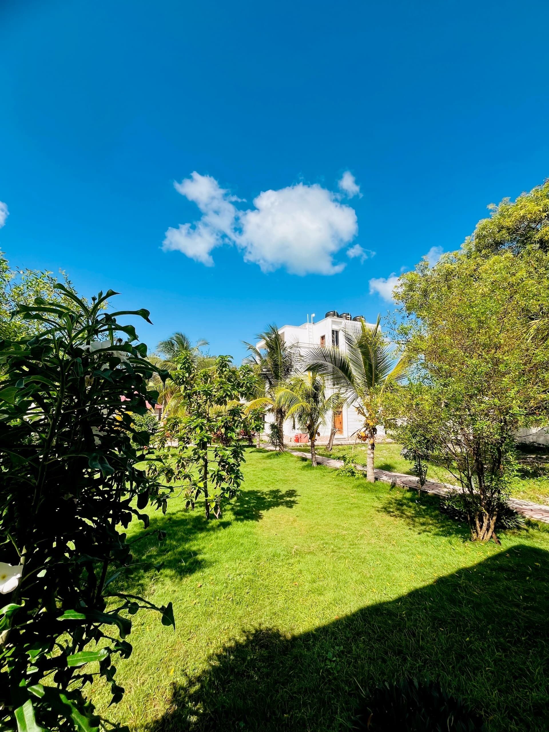A well-maintained garden with a white building in the background.